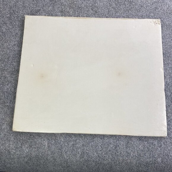 Karen Chappell Vintage Mountain Lion Ink & Pencil on Paper Drawing Signed 1978 - Picture 11 of 11